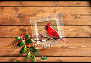 Glass Red Cardinal Dish